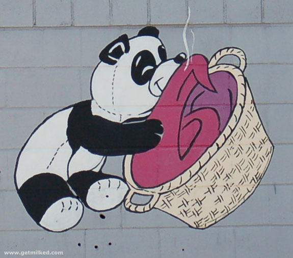 Great Moments In Rural Art: Laundry Panda